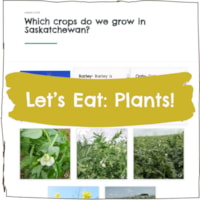 Let's Eat: Plants!
